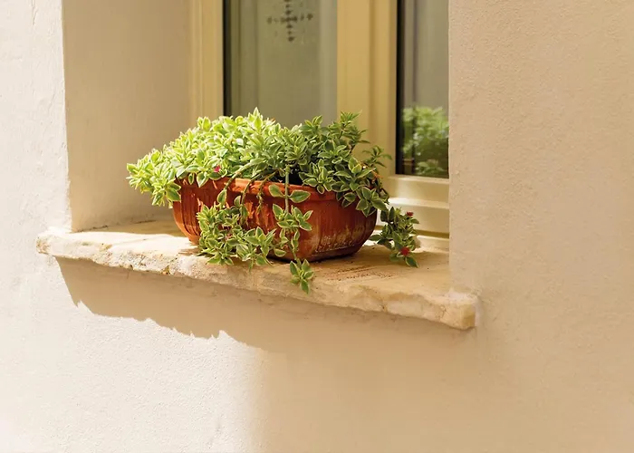 La Carrera Bed & Breakfast